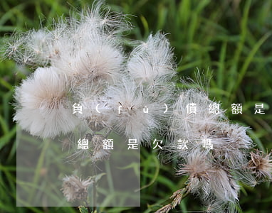 負(fù)債總額是欠款嗎-負(fù)債總額是欠款嗎