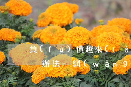負(fù)債越來(lái)越多最好的解決辦法-網(wǎng)貸欠20萬(wàn)自救方法