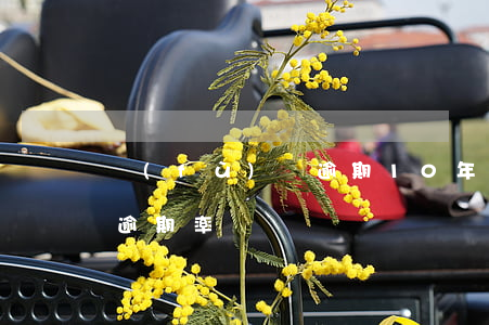 負(fù)債逾期10年案例(負(fù)債逾期率)