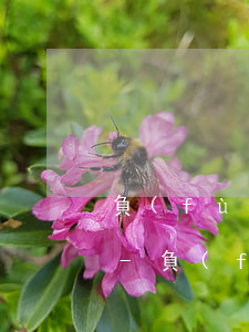 負(fù)債逾期了還可以參加本科考試么-負(fù)債逾期影響找工作嗎