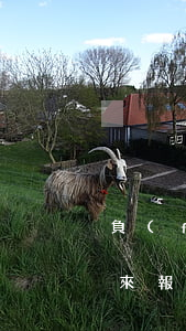 負(fù)債逾期人員聯(lián)合起來報(bào)復(fù)的后果-負(fù)債逾期人員聯(lián)合起來報(bào)復(fù)的后果是什么