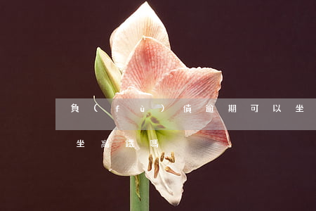負(fù)債逾期可以坐高鐵嗎(借款逾期能坐高鐵嗎)
