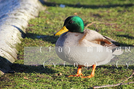 負(fù)債逾期后可以申請(qǐng)營(yíng)業(yè)執(zhí)照嗎-負(fù)債逾期后可以申請(qǐng)營(yíng)業(yè)執(zhí)照嗎怎么辦