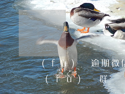 負(fù)債逾期微信群(有沒(méi)有負(fù)債群)
