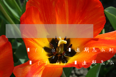 負(fù)債逾期怎么判斷短信是真的嗎-負(fù)債逾期怎么判斷短信是真的嗎還是假的