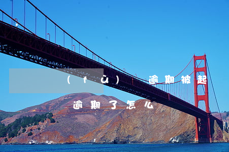 負(fù)債逾期被起訴怎么辦(負(fù)債逾期了怎么辦)