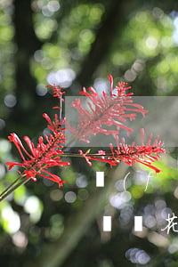 負(fù)債過(guò)高無(wú)力償還花唄和借唄能協(xié)商-欠借唄和花唄還不起了會(huì)不會(huì)被起數(shù)?