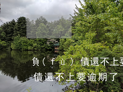 負(fù)債還不上要逾期了-負(fù)債還不上要逾期了