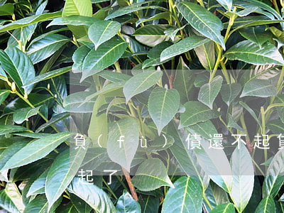 負(fù)債還不起貸款(負(fù)債還不起了)