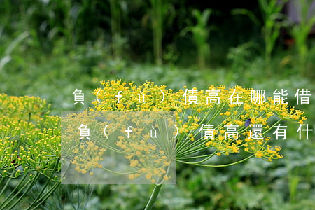 負(fù)債高在哪能借到錢(qián) 負(fù)債高還有什么平臺(tái)能借