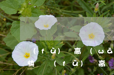 負(fù)債高網(wǎng)貸多無逾期快貸(負(fù)債高網(wǎng)貸多無逾期快貸)