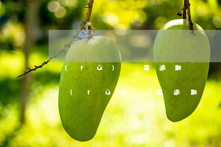 負(fù)債高逾期時間長的純公積金貸款（負(fù)債高逾期）