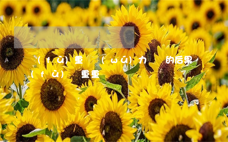 負(fù)重債無(wú)力償還的后果(負(fù)債重重)