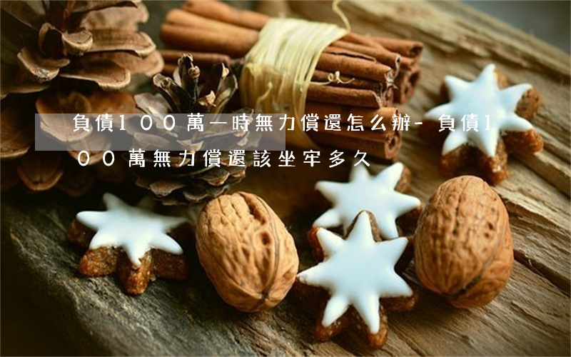 負債100萬一時無力償還怎么辦-負債100萬無力償還該坐牢多久