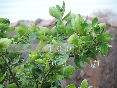 負債100萬無力償還后面的路怎么走-負債100萬無力償還怎么辦