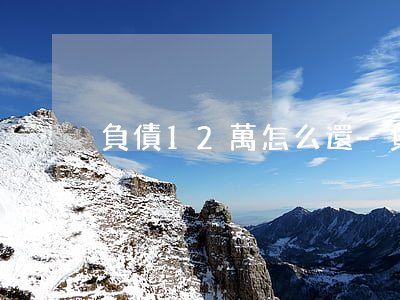 負債12萬怎么還-負債12萬怎么還款