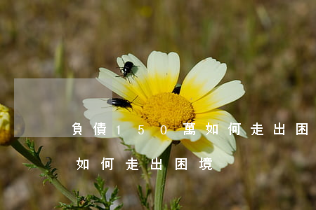 負債150萬如何走出困境-負債150萬如何走出困境?