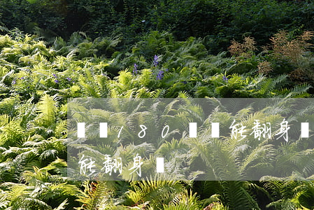 負債180萬還能翻身嗎-負債180萬還能翻身嗎