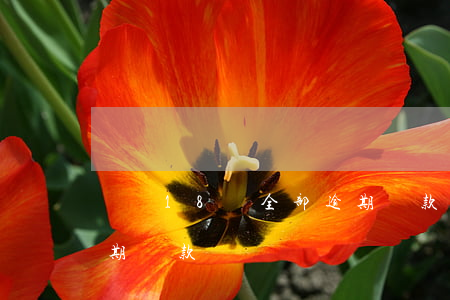 負債18萬全部逾期還款(負債18萬全部逾期還款)