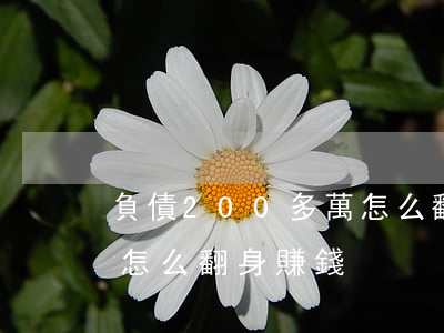 負債200多萬怎么翻身-負債200多萬怎么翻身賺錢