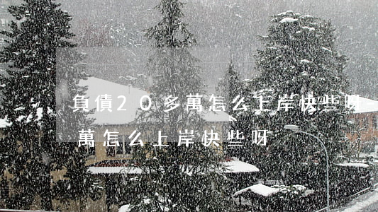 負債20多萬怎么上岸快些呀-負債20多萬怎么上岸快些呀