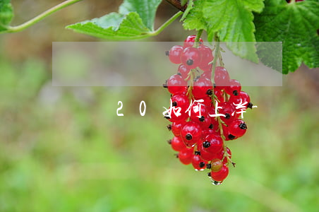 負債20如何上岸-負債如何上岸的好項目