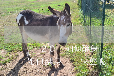 負債20萬如何翻身還錢快些-負債20萬如何翻身還錢快些呢