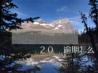 負債20萬逾期怎么辦(負債20萬多久能還清)