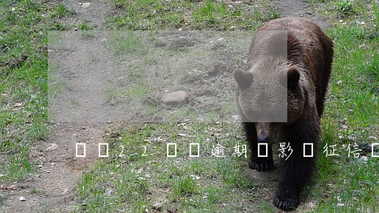 負債22萬無逾期會影響征信嗎