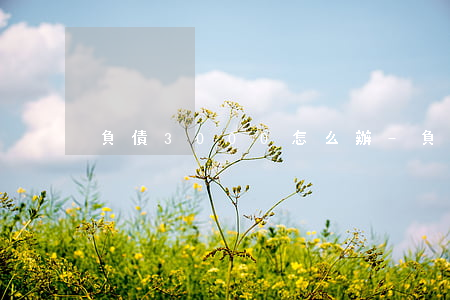 負債3000怎么辦-負債3千
