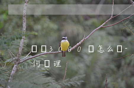 負債3000萬怎么辦-負債3000萬如何處理