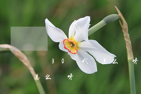 負債30萬 我該怎么辦呀-負債30萬 我該怎么辦呀