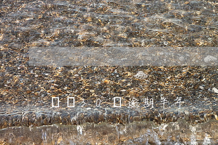 負債30萬逾期半年