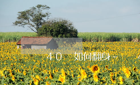 負債40萬如何翻身-負債40萬如何翻身