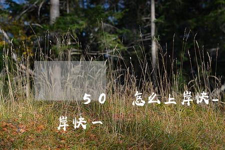 負債50萬怎么上岸快-負債50萬怎么上岸快一點
