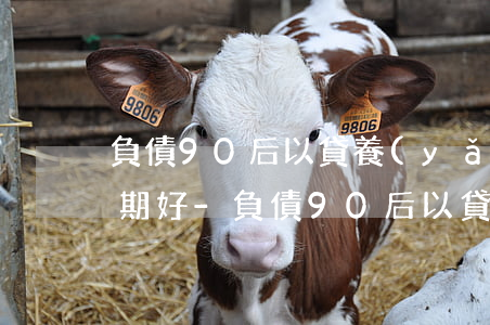 負債90后以貸養(yǎng)貸好還是逾期好-負債90后以貸養(yǎng)貸好還是逾期好呢
