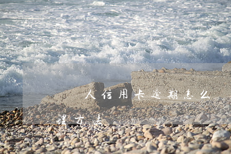 負債人信用卡逾期怎么辦(信用卡逾期怎么處理方法)
