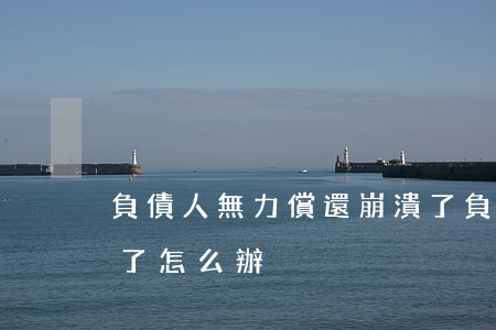 負債人無力償還崩潰了(負債人無力償還崩潰了怎么辦)