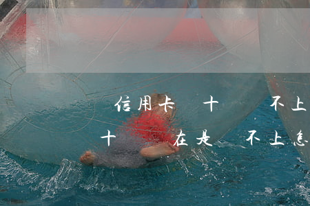 負債信用卡幾十萬還不上怎嗎辦-欠信用卡幾十萬實在是還不上,怎么辦