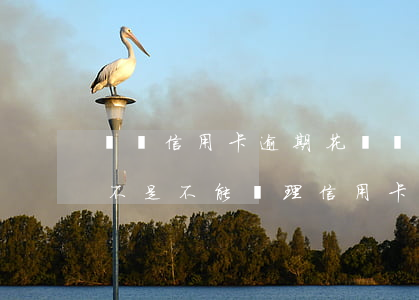 負債信用卡逾期花唄賬單(花唄有逾期記錄是不是不能辦理信用卡)