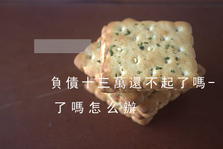 負債十三萬還不起了嗎-負債十三萬還不起了嗎怎么辦