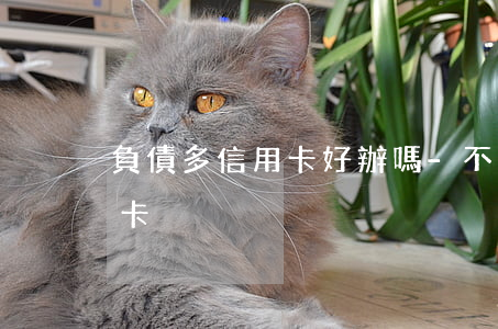 負債多信用卡好辦嗎-不看負債審批的信用卡