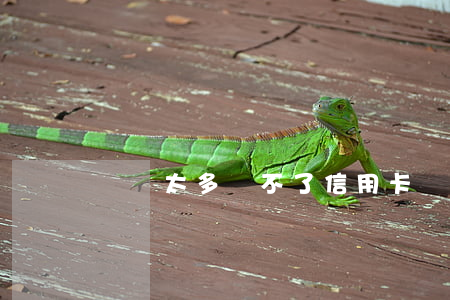 負債太多辦不了信用卡(負債高辦不了信用卡)