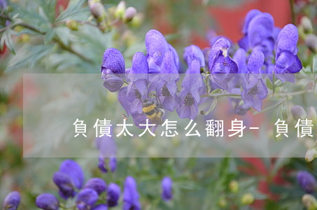 負債太大怎么翻身-負債太多怎么翻身