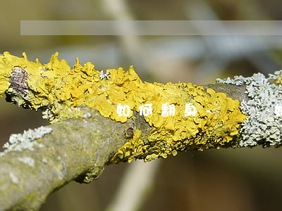負債如何翻身-負債如何翻身上岸