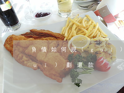 負債如何規(guī)劃-負債如何規(guī)劃還款