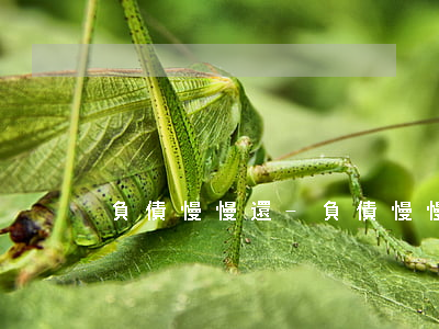 負債慢慢還-負債慢慢還好還是一次還好
