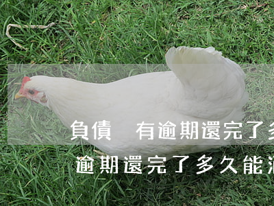 負債沒有逾期還完了多久能消除-負債沒有逾期還完了多久能消除記錄