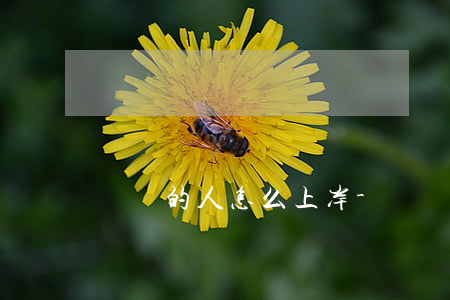 負債的人怎么上岸-負債的人怎么上岸了