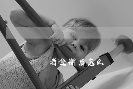 負債者逾期后怎么辦(負債者逾期后怎么辦)